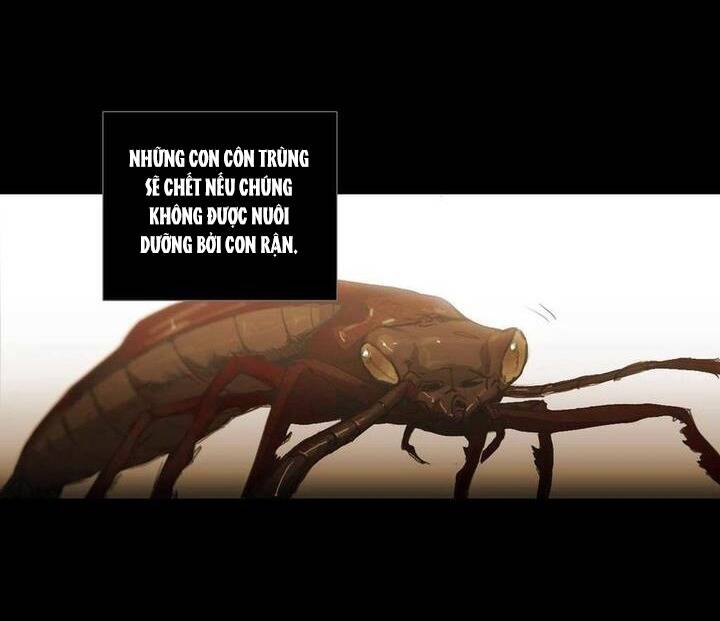 Không Bao Giờ Hiểu Chapter 74 - 68