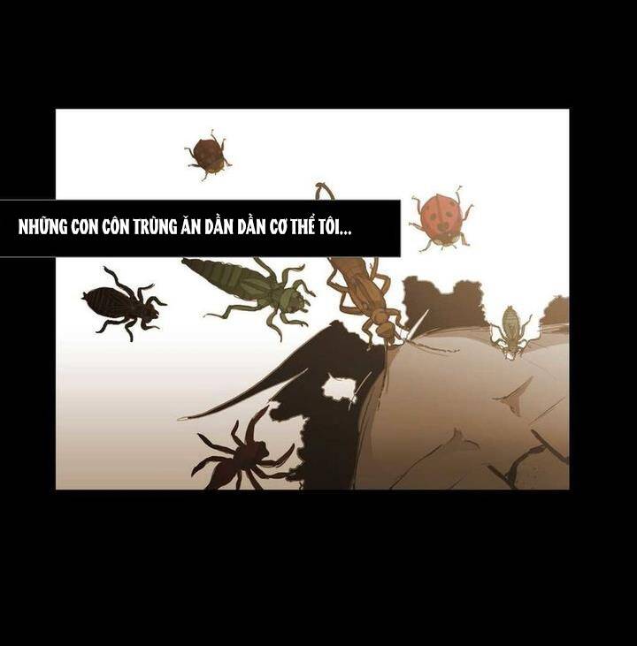 Không Bao Giờ Hiểu Chapter 74 - 69