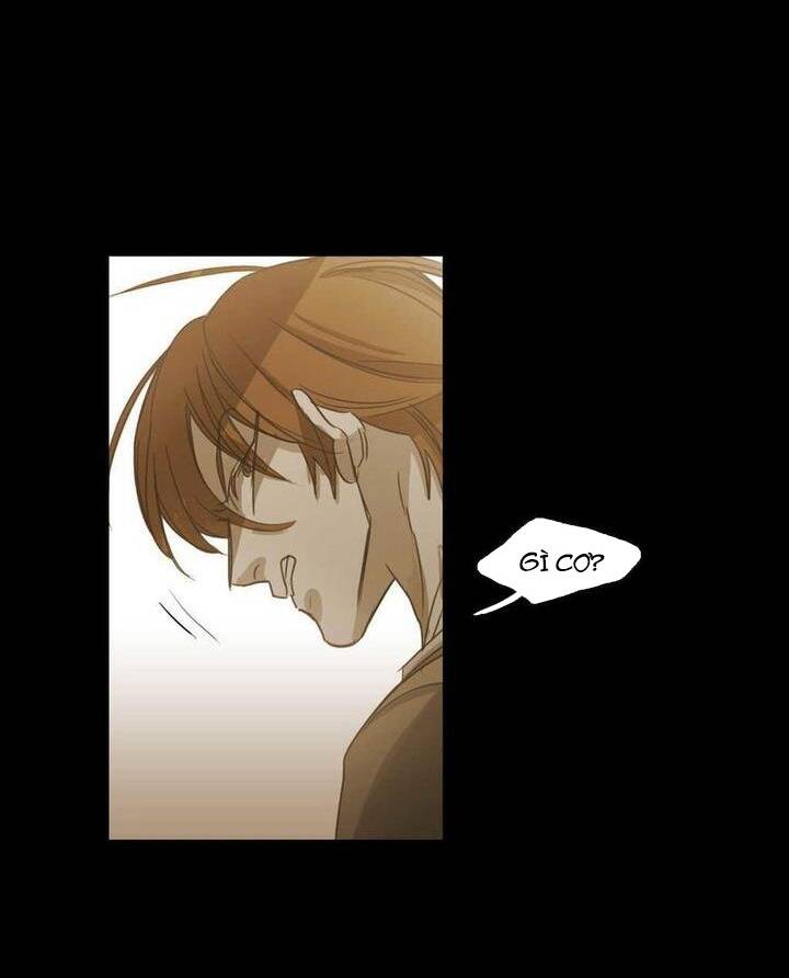 Không Bao Giờ Hiểu Chapter 75 - 103