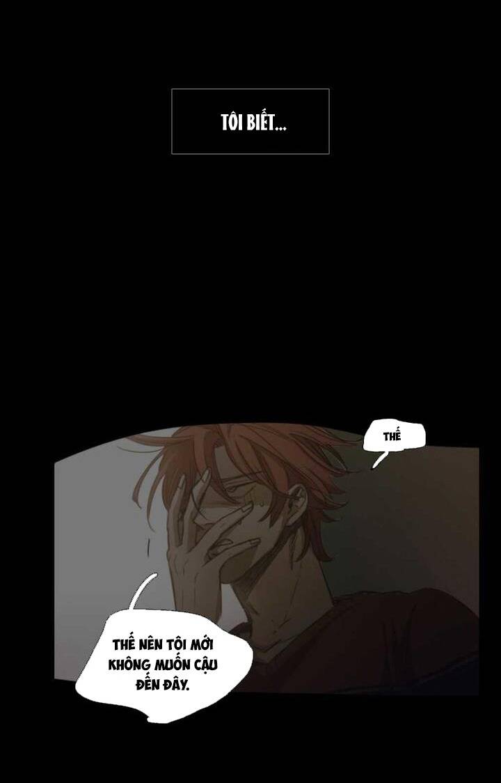 Không Bao Giờ Hiểu Chapter 75 - 121