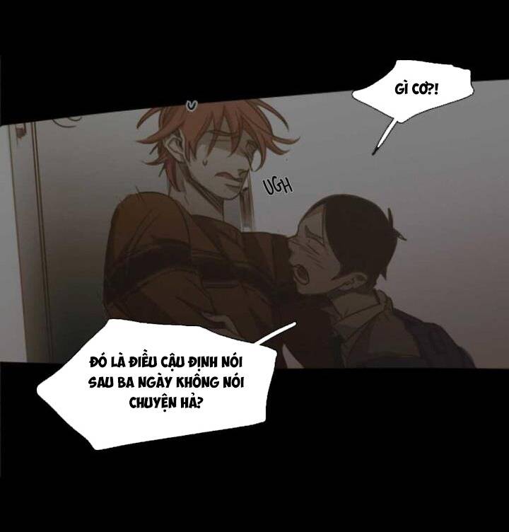 Không Bao Giờ Hiểu Chapter 75 - 122