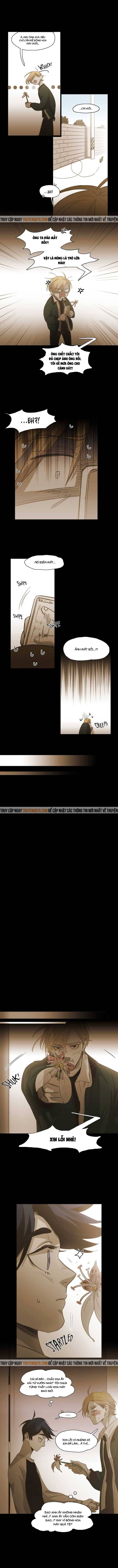 Không Bao Giờ Hiểu Chapter 84 - 7