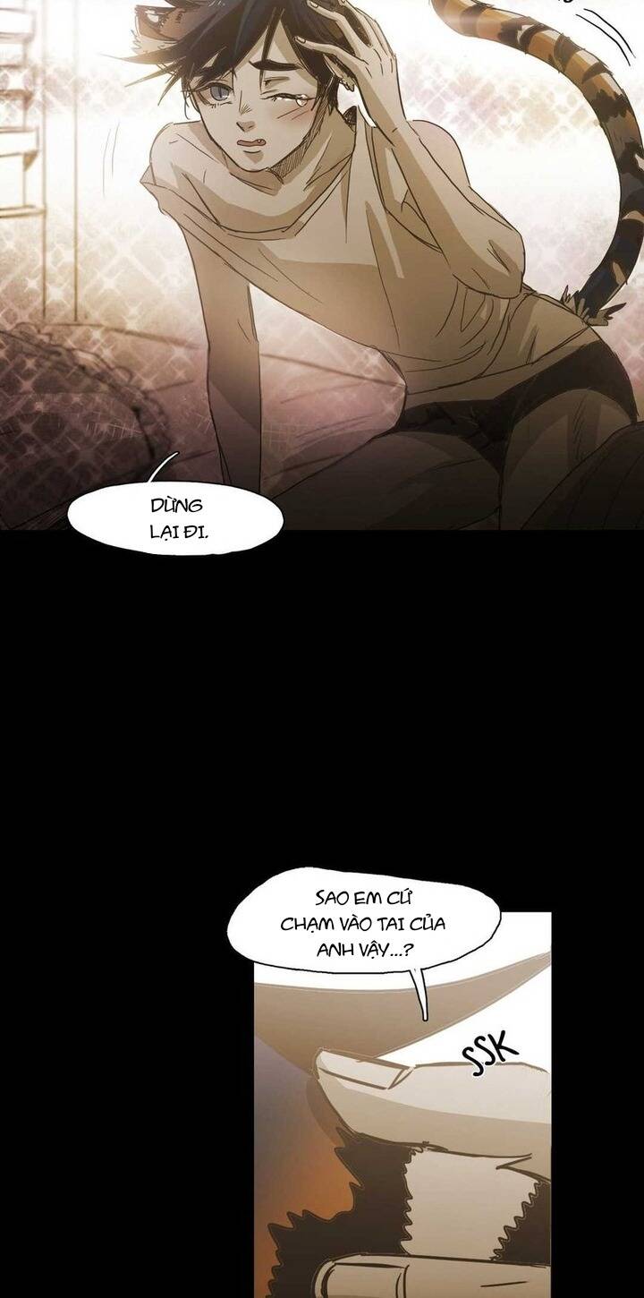 Không Bao Giờ Hiểu Chapter 85 - 32