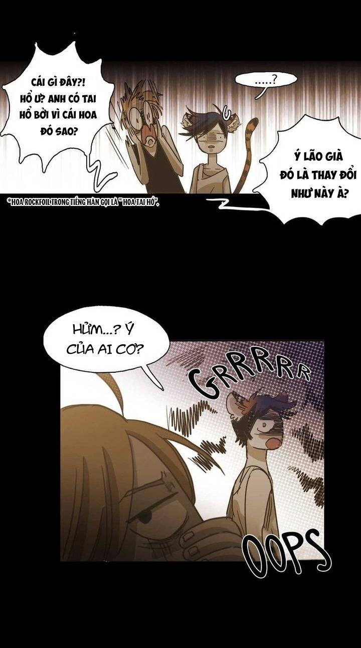 Không Bao Giờ Hiểu Chapter 85 - 34