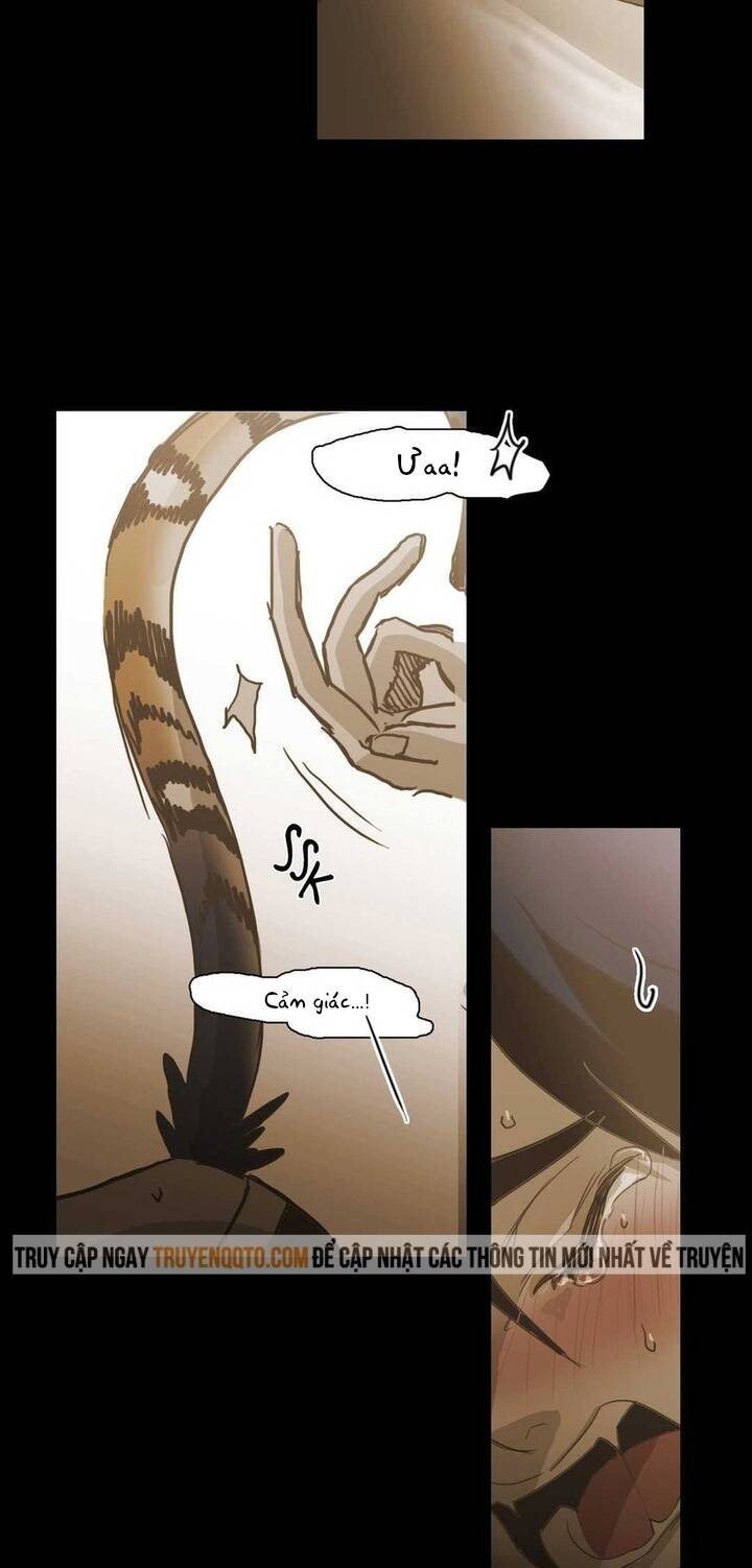 Không Bao Giờ Hiểu Chapter 85 - 44