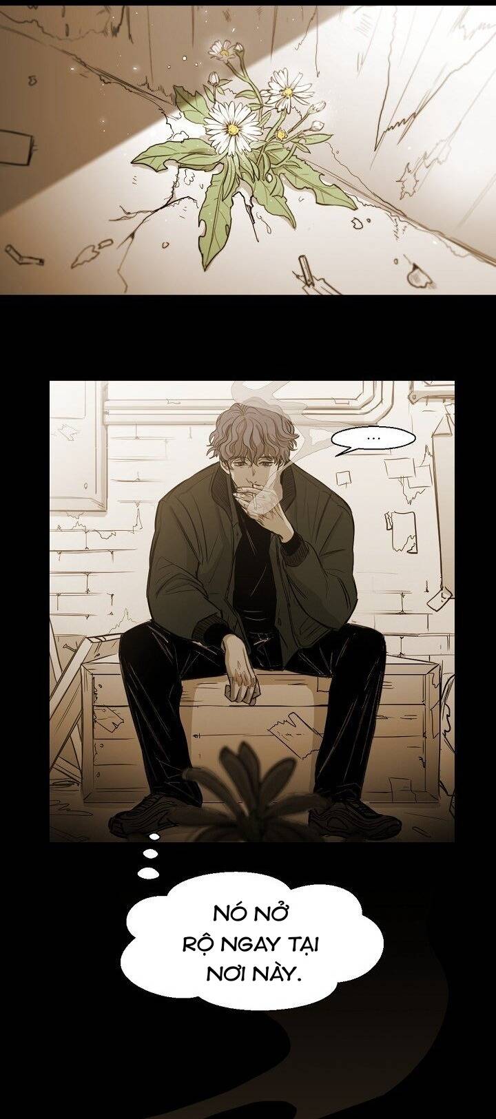 Không Bao Giờ Hiểu Chapter 86 - 23