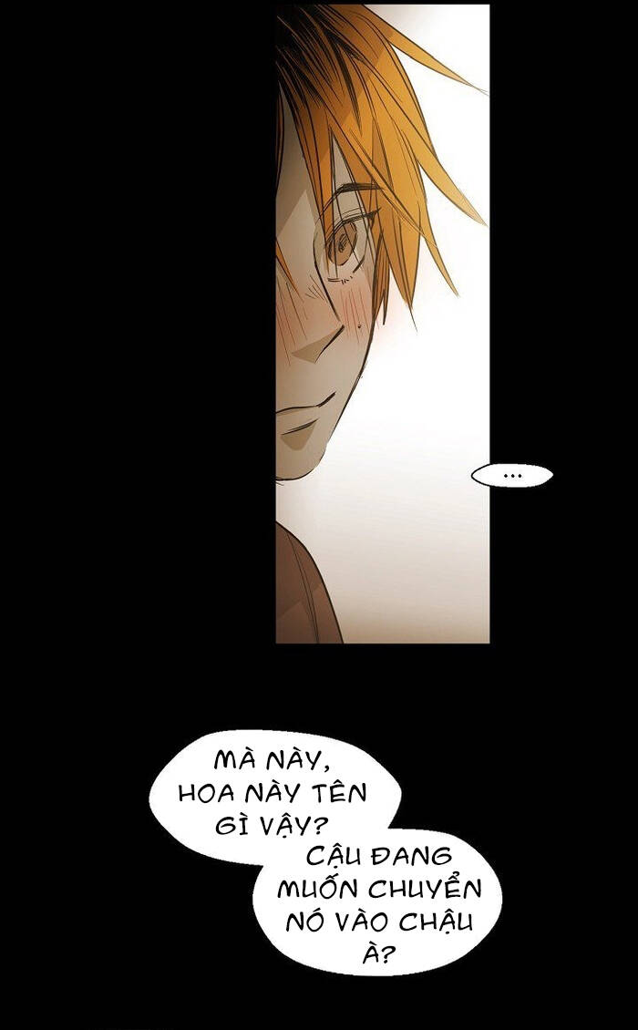 Không Bao Giờ Hiểu Chapter 87 - 19