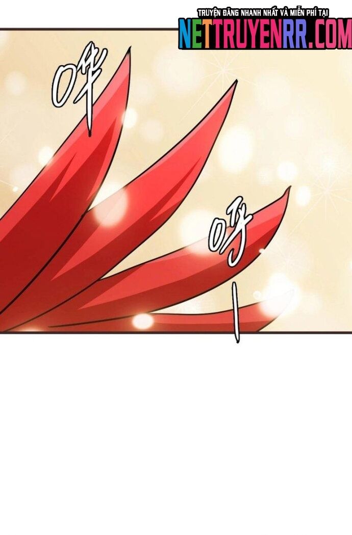 Hệ Thống Thăng Cấp Điên Cuồng Chapter 81 - 38