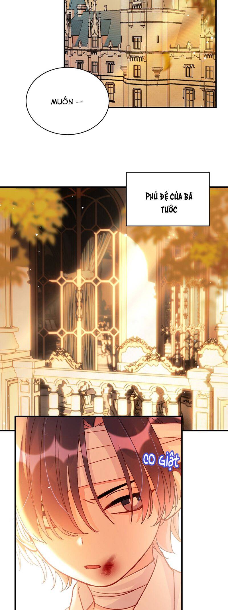 Tôi Phải Làm Một Kẻ Đại Xấu Xa Chapter 141 - 24