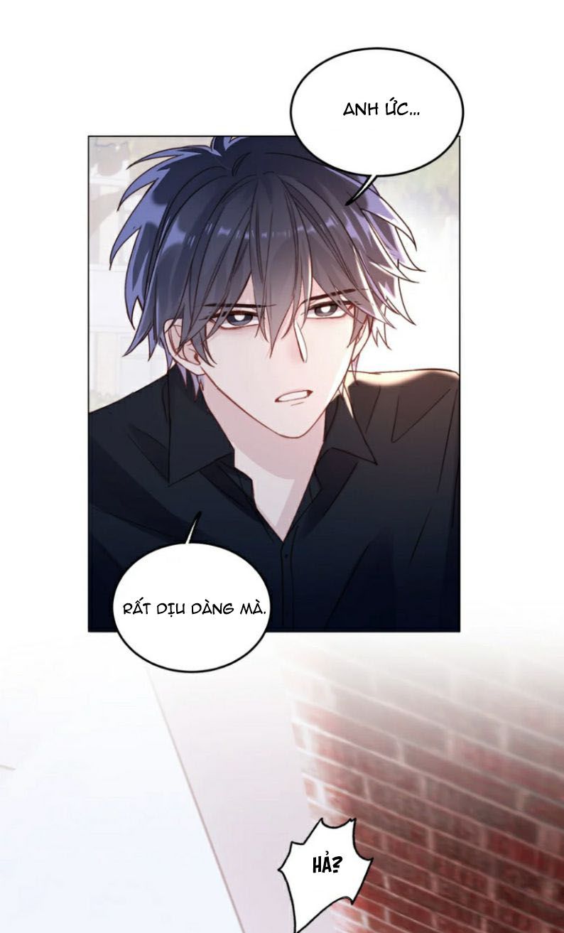 Tôi Phải Làm Một Kẻ Đại Xấu Xa Chapter 24.5 - 14