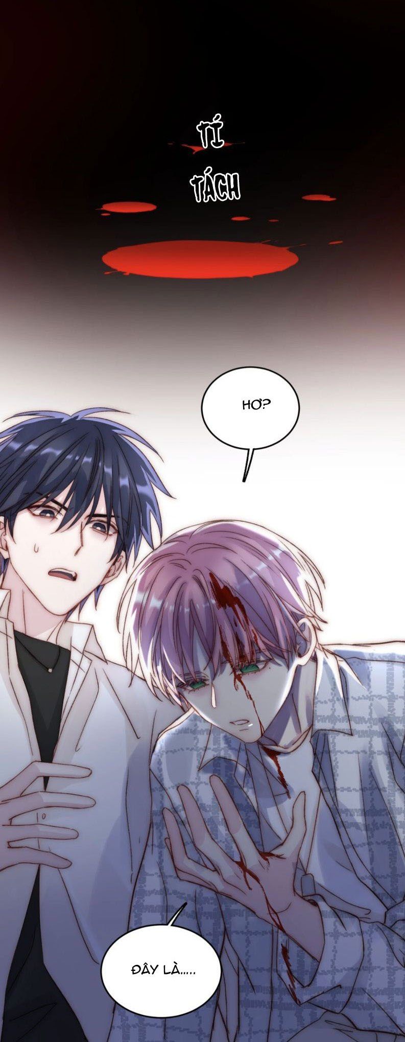 Tôi Phải Làm Một Kẻ Đại Xấu Xa Chapter 27.5 - 7