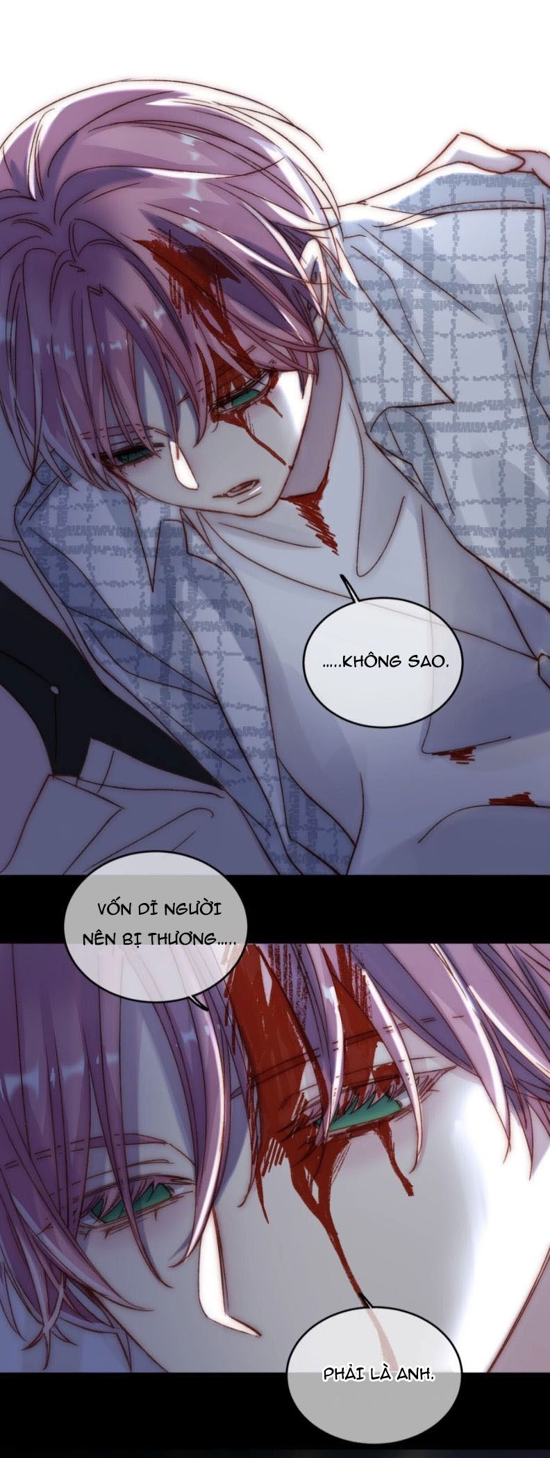 Tôi Phải Làm Một Kẻ Đại Xấu Xa Chapter 27.5 - 10