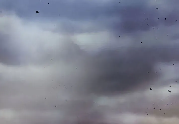 Quán Trọ Phong Ba Chapter 112 - 6