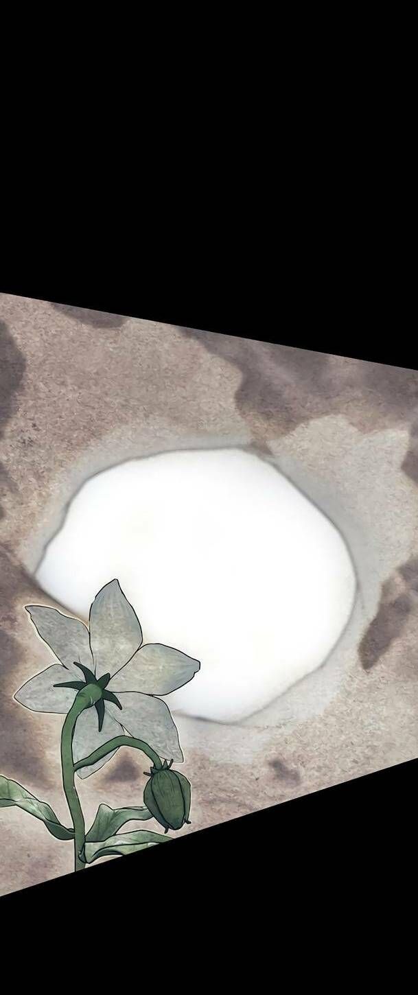 Ex & Ash Chapter 70 - 116