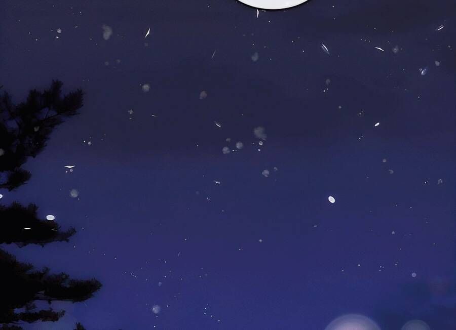 Cô Gái Từ Ứng Dụng Nhắn Tin Ngẫu Nhiên Chapter 337 - 125