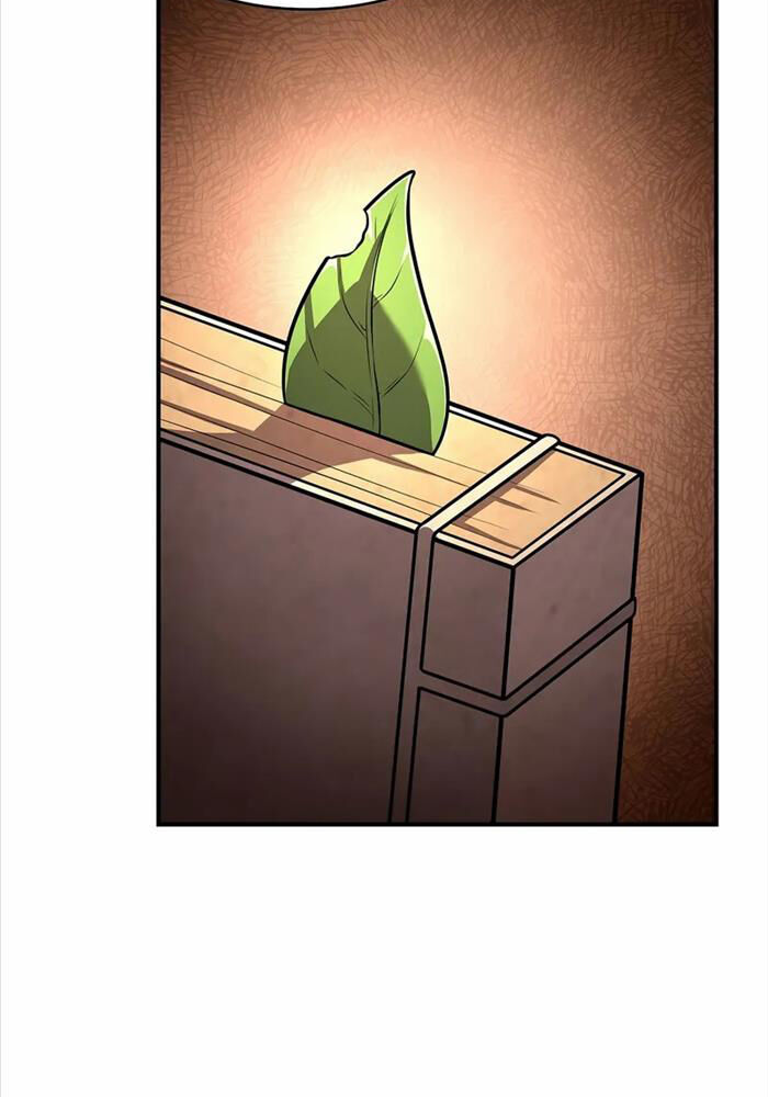 Thiên Tài Ma Pháp Sư Giấu Nghề Chapter 96 - 117