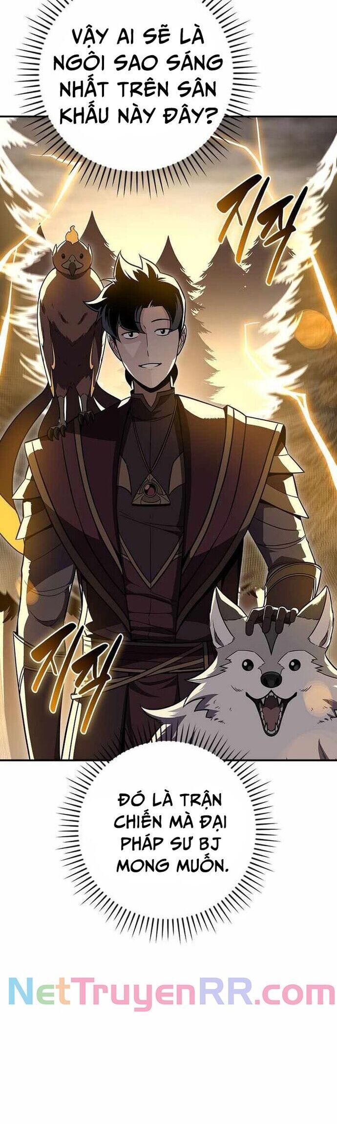 Streamer Pháp Sư Chapter 128 - 10