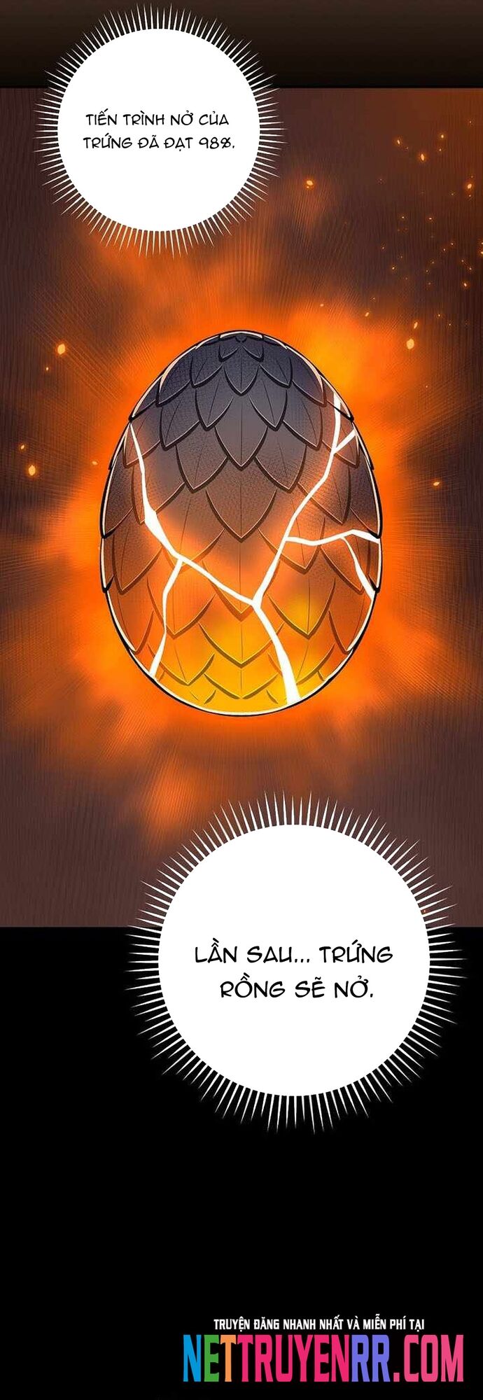 Streamer Pháp Sư Chapter 142 - 51