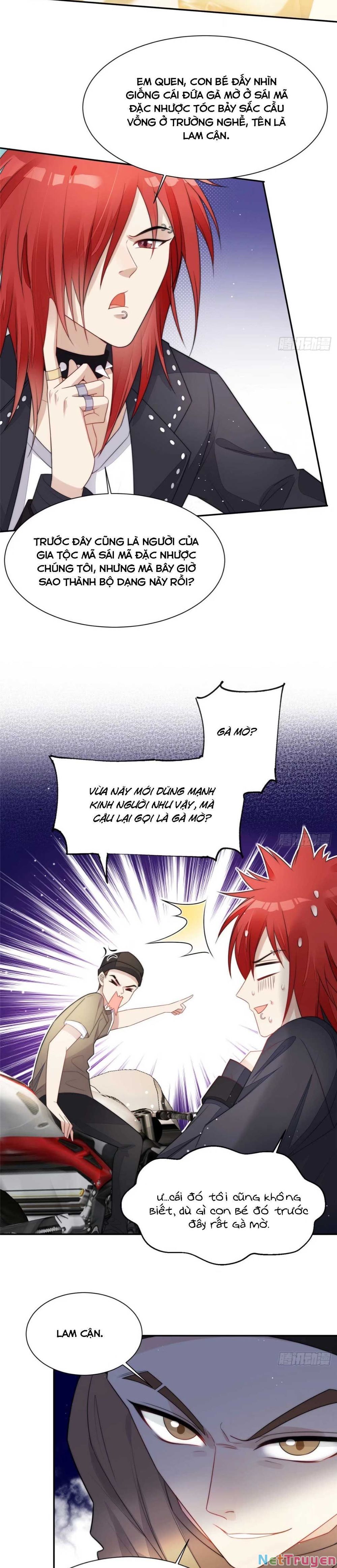 Đại Lão Nào Cũng Tranh Sủng Ta Chapter 18 - 13