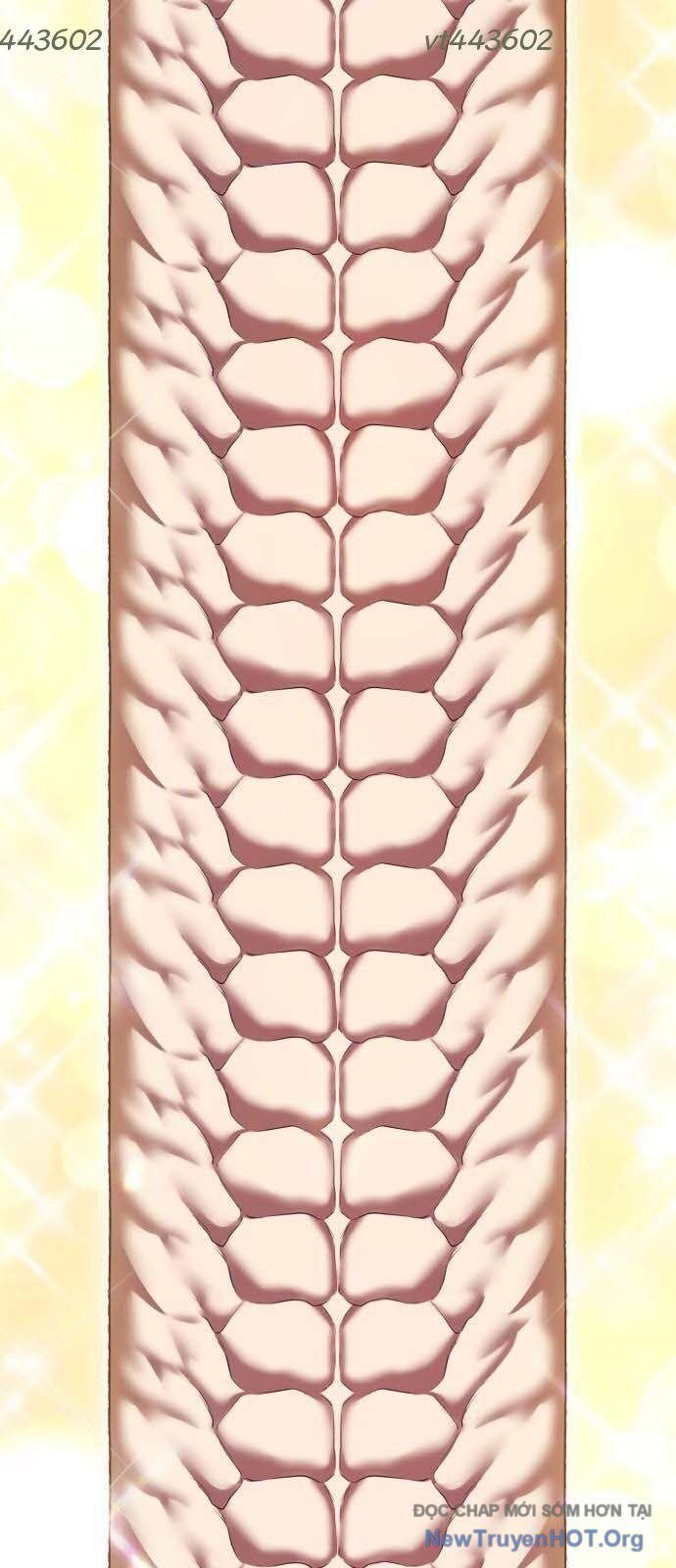 Gậy Gỗ Cấp 99+ Chapter 129 - 19