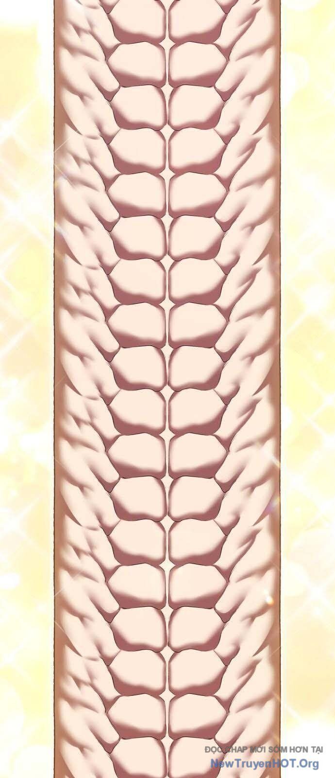 Gậy Gỗ Cấp 99+ Chapter 129 - 20