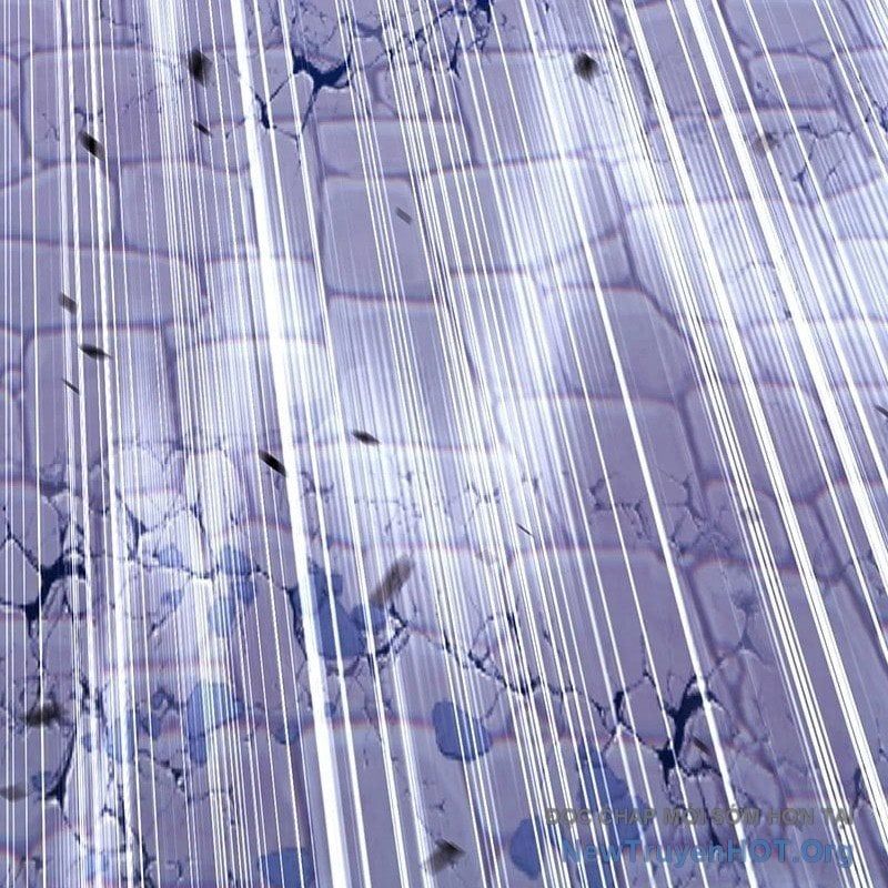 Gậy Gỗ Cấp 99+ Chapter 145 - 181