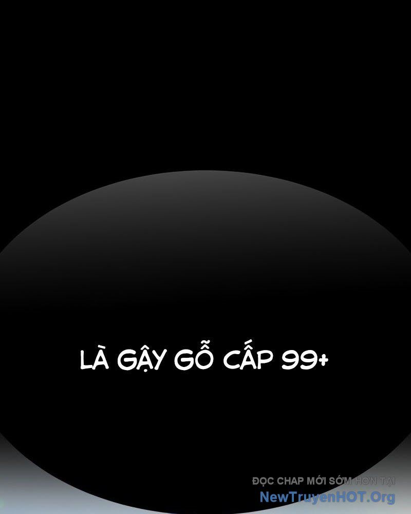 Gậy Gỗ Cấp 99+ Chapter 149.5 - 125