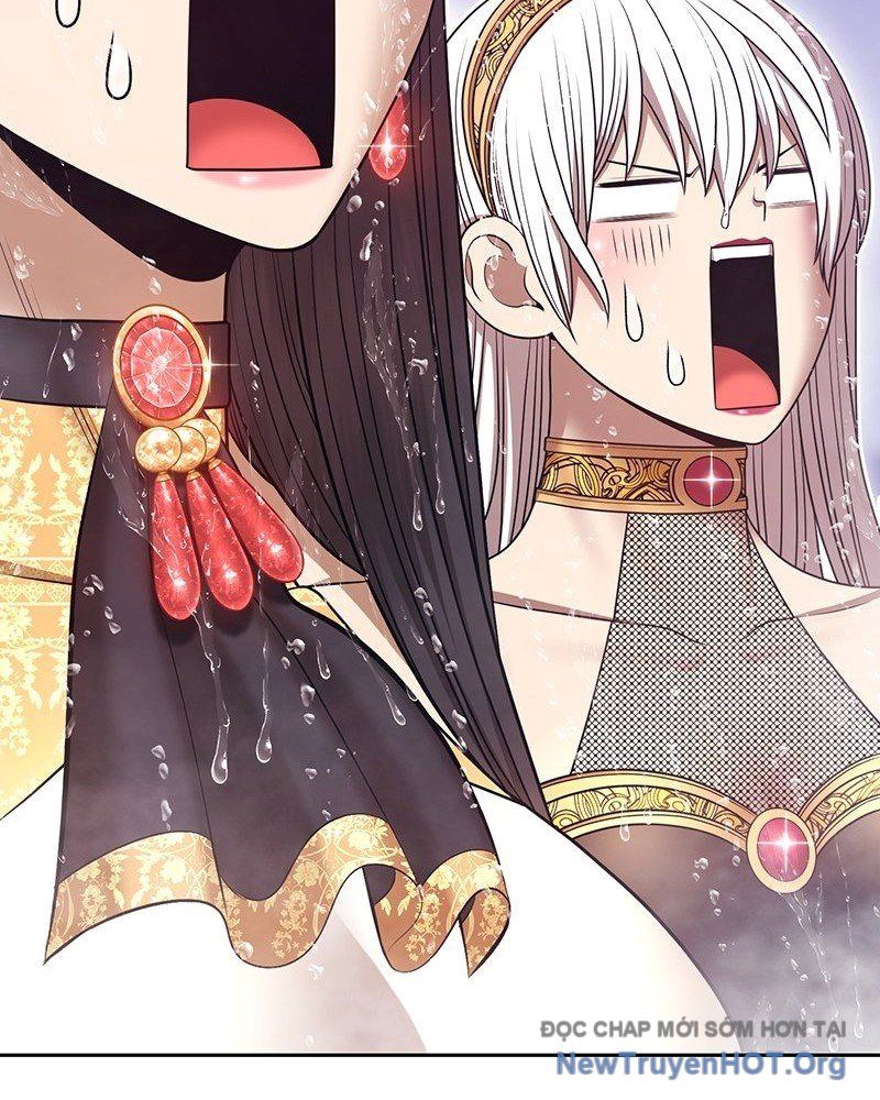 Gậy Gỗ Cấp 99+ Chapter 152.5 - 248