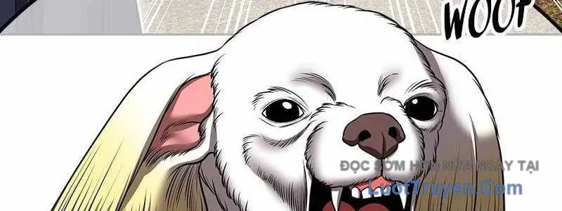 Gậy Gỗ Cấp 99+ Chapter 163 - 254