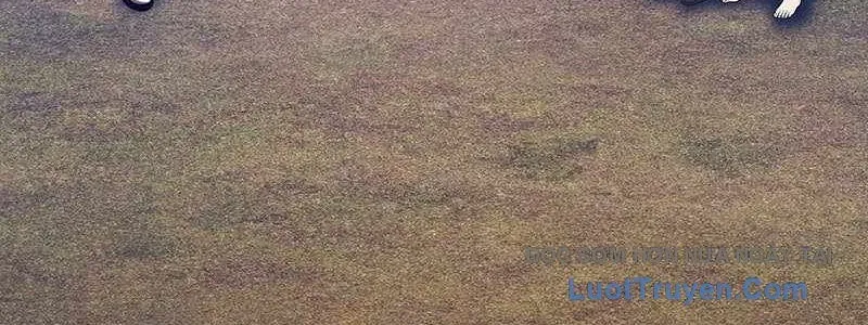 Gậy Gỗ Cấp 99+ Chapter 163 - 444