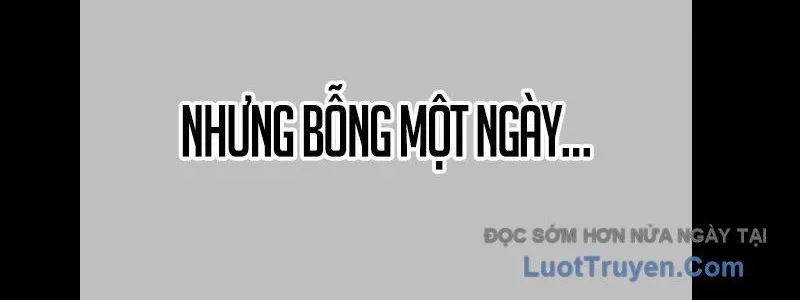 Gậy Gỗ Cấp 99+ Chapter 163 - 535