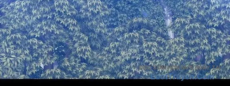 Gậy Gỗ Cấp 99+ Chapter 163 - 569