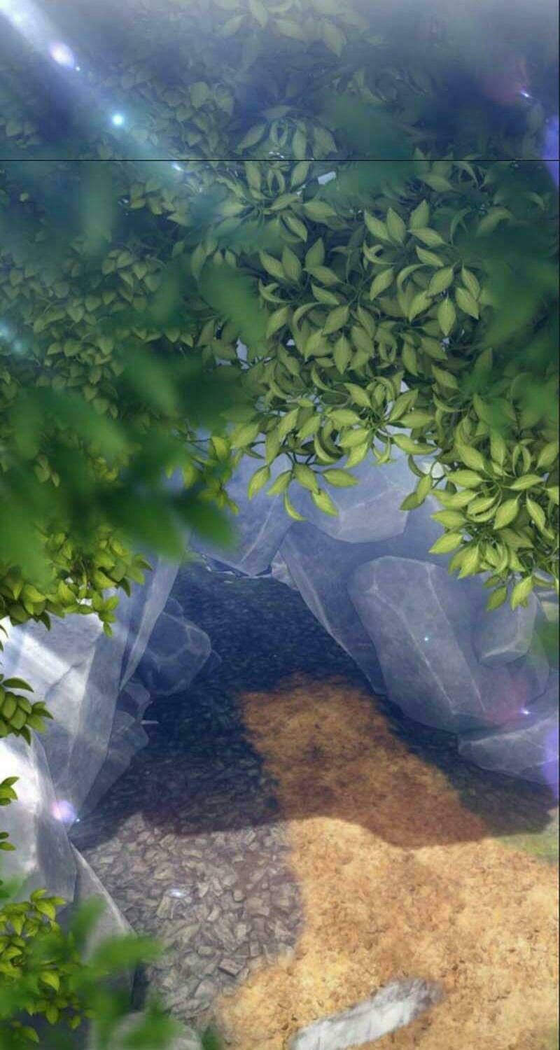 Gậy Gỗ Cấp 99+ Chapter 6 - 131