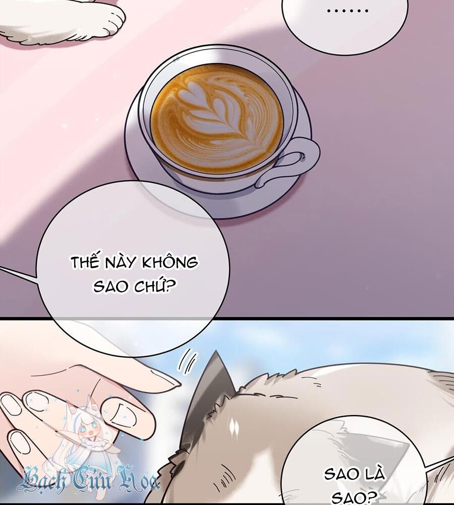 Làm Sao Để Chạy Trốn Dàn Hậu Cung Chapter 124 - 8