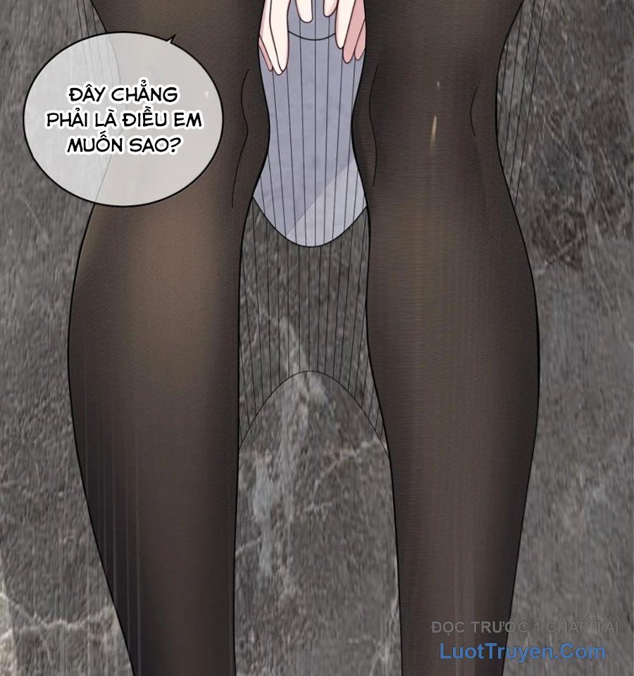 Làm Sao Để Chạy Trốn Dàn Hậu Cung Chapter 187 - 14