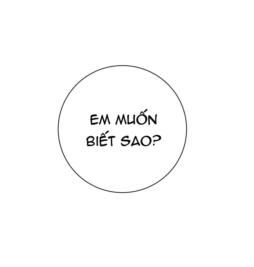 Làm Sao Để Chạy Trốn Dàn Hậu Cung Chapter 58 - 49
