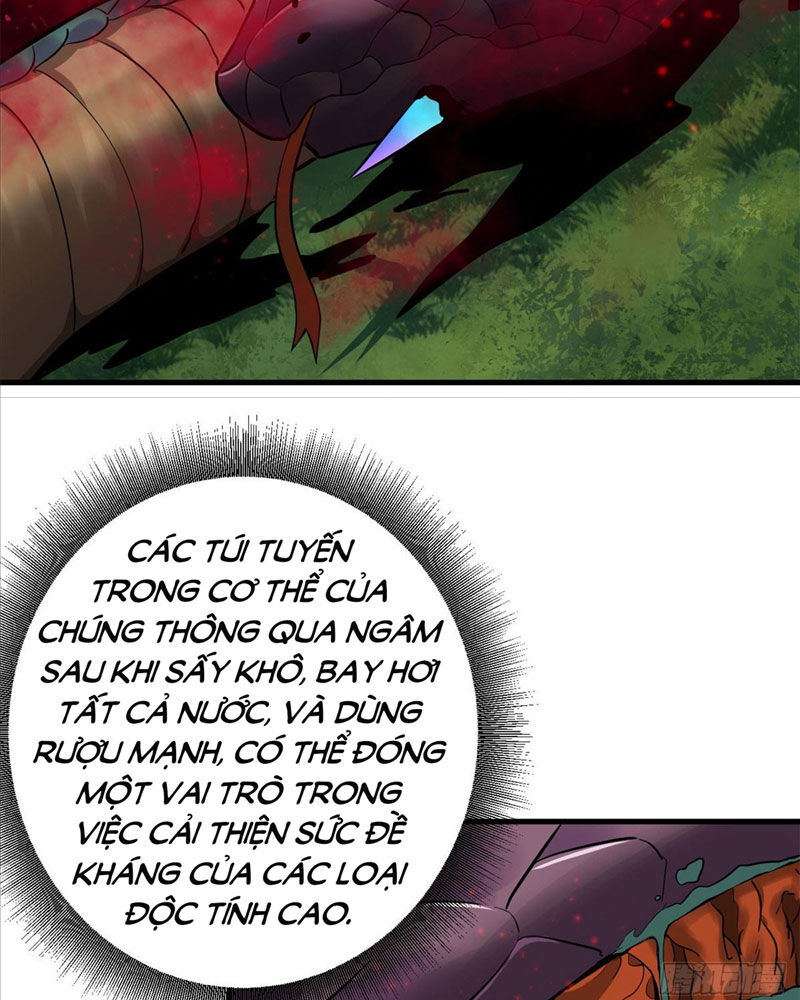Luân Bàn Thế Giới Chapter 139 - 50