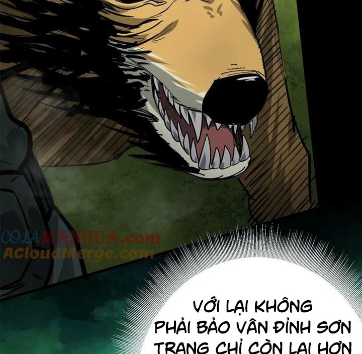 Luân Bàn Thế Giới Chapter 166 - 14