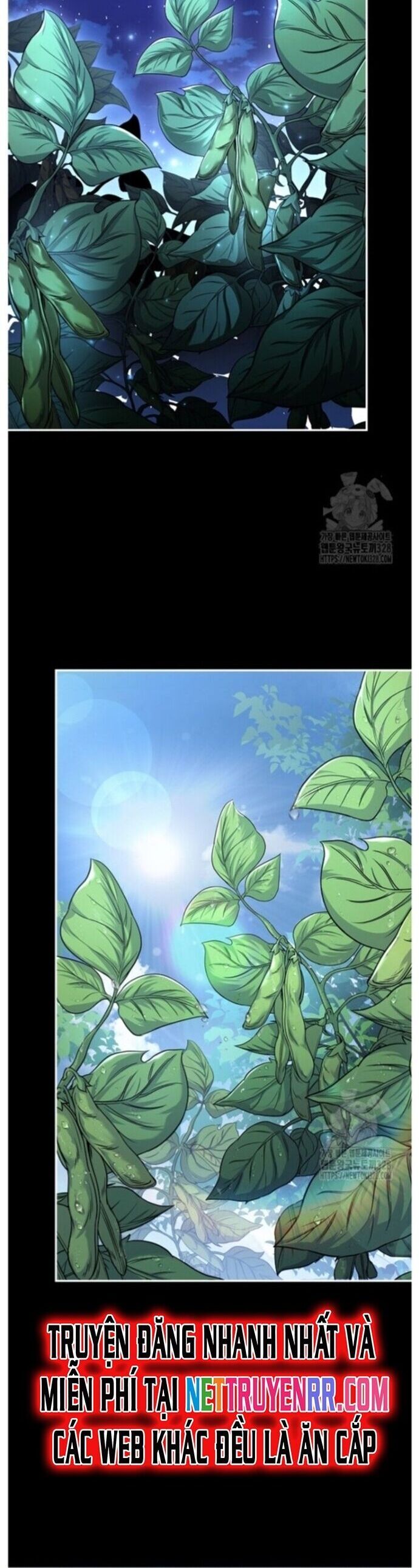 Đầu Bếp Trẻ Nhất Tới Từ Khách Sạn Hạng Ba Chapter 95 - 9