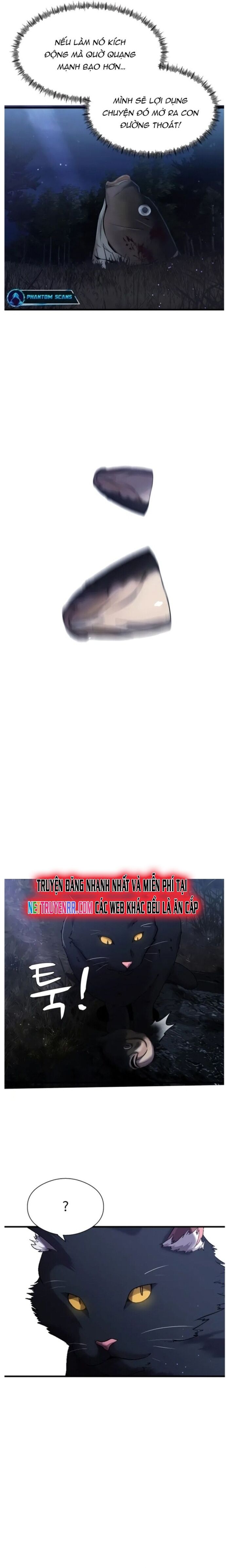 Hoá Thân Thành Cá Chapter 27 - 13