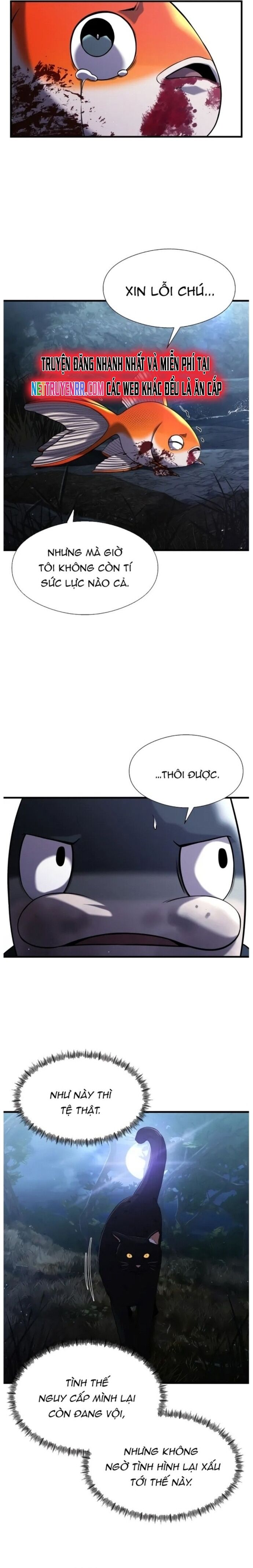 Hoá Thân Thành Cá Chapter 27 - 3