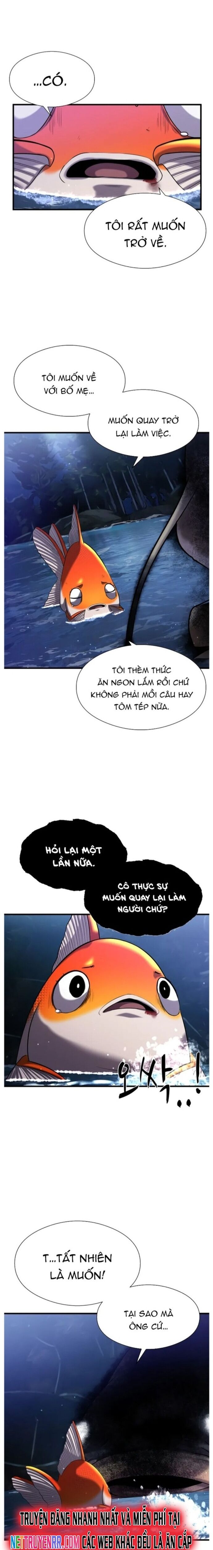 Hoá Thân Thành Cá Chapter 28 - 11