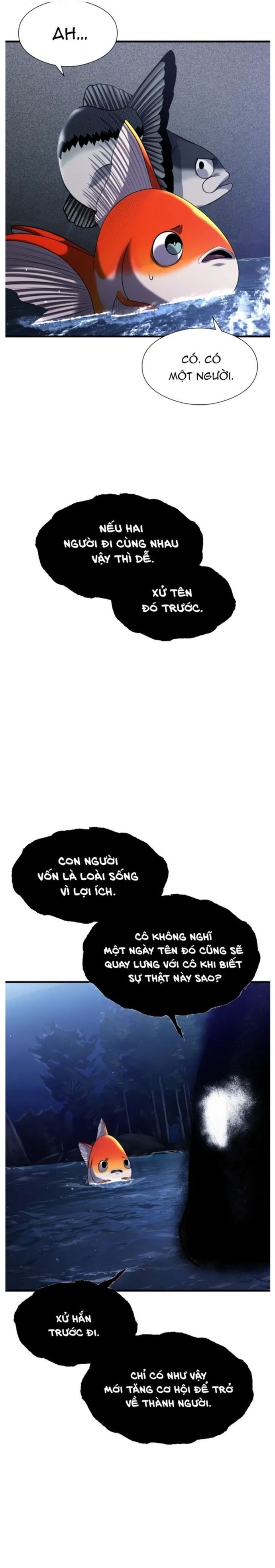 Hoá Thân Thành Cá Chapter 28 - 13