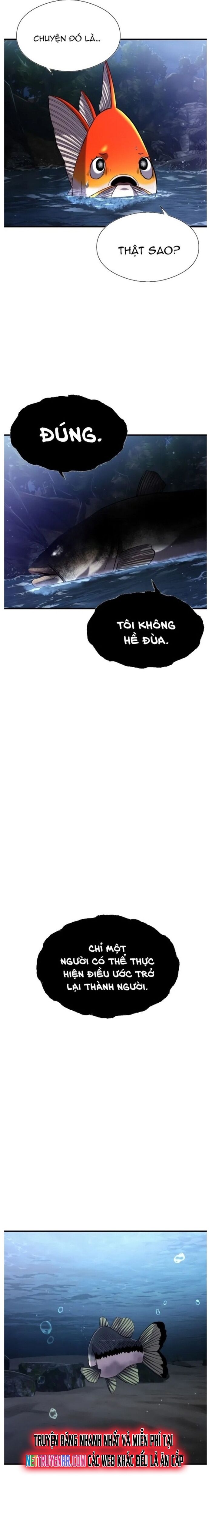 Hoá Thân Thành Cá Chapter 28 - 16