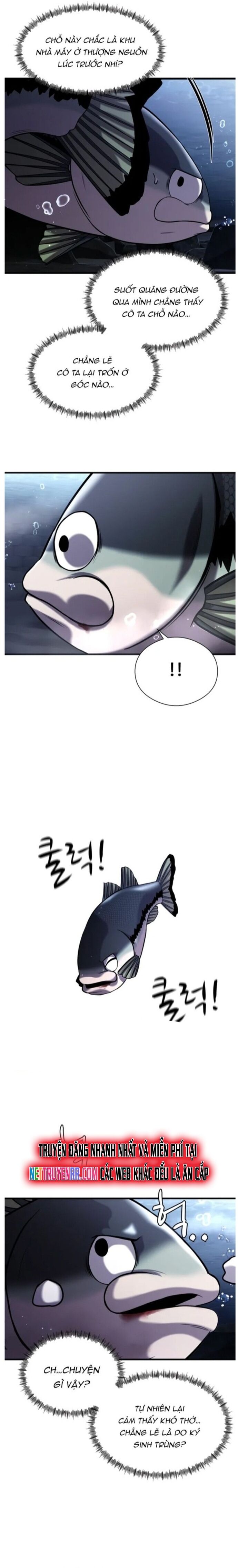 Hoá Thân Thành Cá Chapter 28 - 19