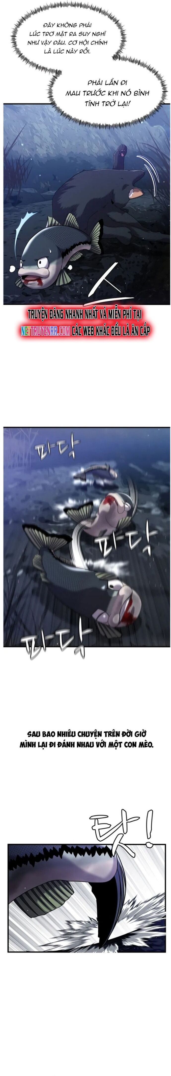 Hoá Thân Thành Cá Chapter 28 - 3