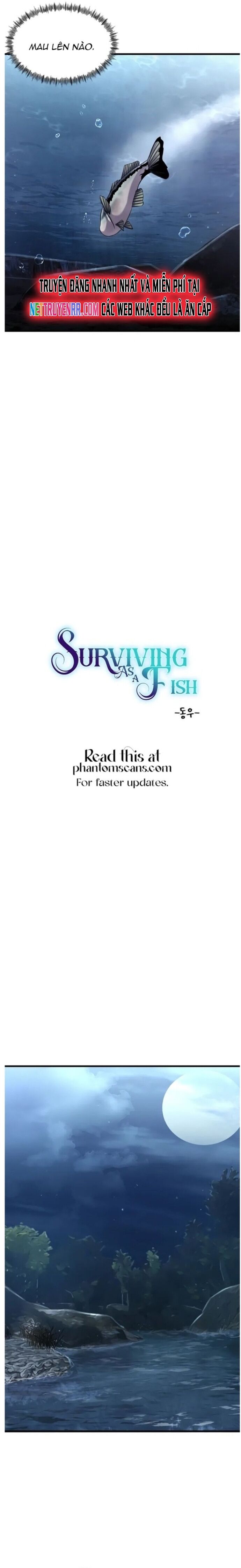 Hoá Thân Thành Cá Chapter 28 - 5