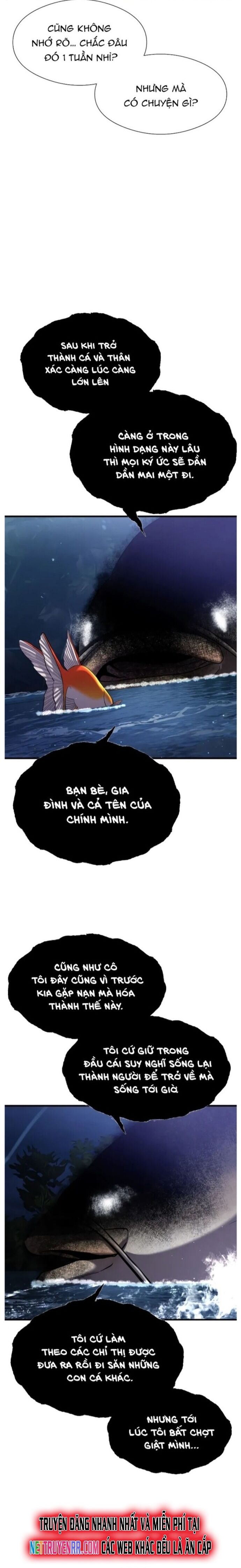 Hoá Thân Thành Cá Chapter 28 - 8