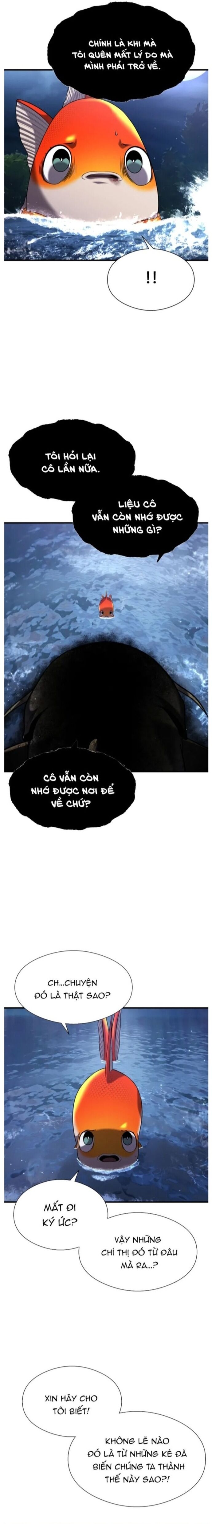 Hoá Thân Thành Cá Chapter 28 - 9