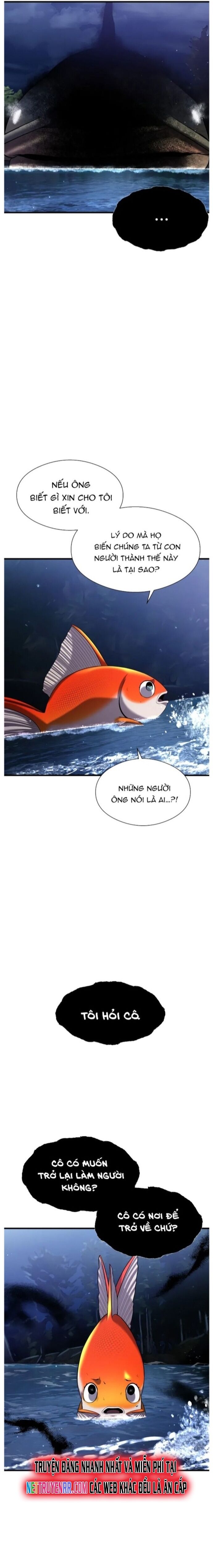 Hoá Thân Thành Cá Chapter 28 - 10